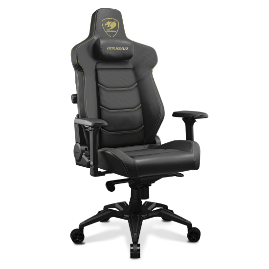 CHAIR ARMOR EVO