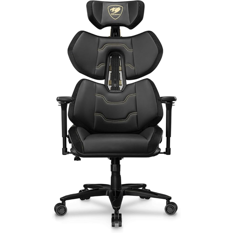 CHAIR TITAN PRO V2 GOLD F